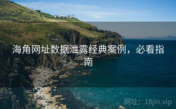 海角网址数据泄露经典案例，必看指南