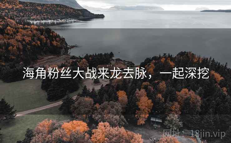海角粉丝大战来龙去脉，一起深挖