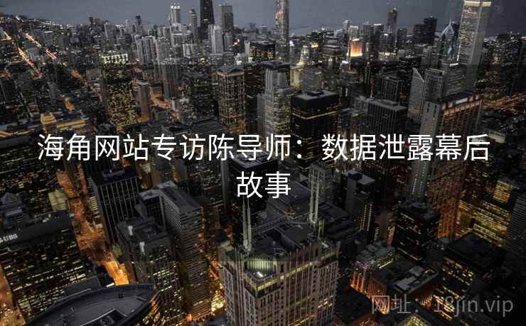 海角网站专访陈导师：数据泄露幕后故事